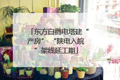 东方白鹳电塔建“产房” “陕电入皖”架线延工期