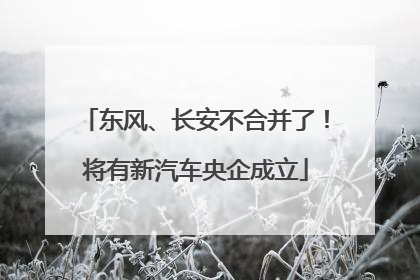 东风、长安不合并了！将有新汽车央企成立