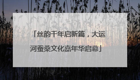 丝韵千年启新篇，大运河蚕桑文化嘉年华启幕