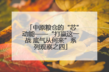 中原粮仓的“芯”动能——“打赢这一战 底气从何来”系列观察之四