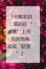中原农谷：盐店庄“滩桃”上市 全国客商凌晨“赶集”