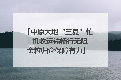 中原大地“三夏”忙丨机收运输畅行无阻 金粒归仓保障有力