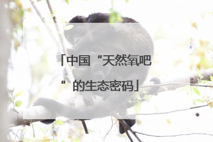 中国“天然氧吧”的生态密码