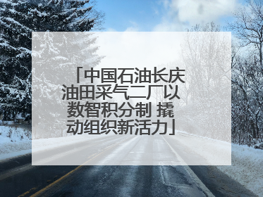 中国石油长庆油田采气二厂以数智积分制 撬动组织新活力