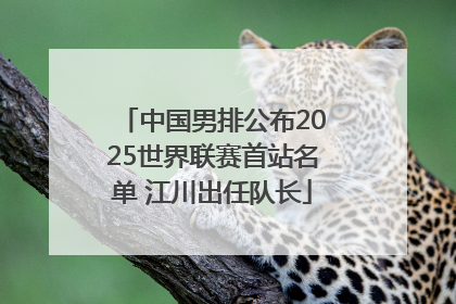 中国男排公布2025世界联赛首站名单 江川出任队长
