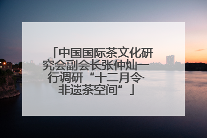 中国国际茶文化研究会副会长张仲灿一行调研“十二月令·非遗茶空间”