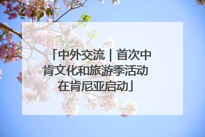 中外交流｜首次中肯文化和旅游季活动在肯尼亚启动