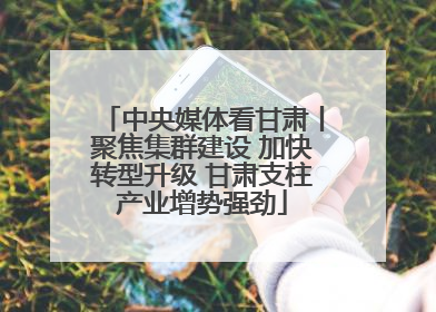 中央媒体看甘肃丨聚焦集群建设 加快转型升级 甘肃支柱产业增势强劲
