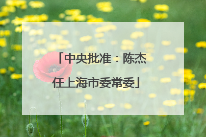 中央批准：陈杰任上海市委常委