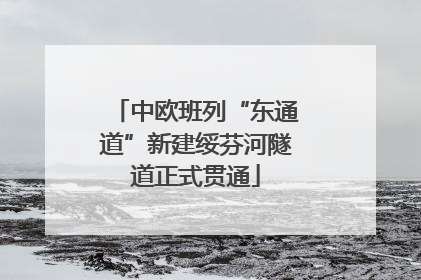 中欧班列“东通道”新建绥芬河隧道正式贯通
