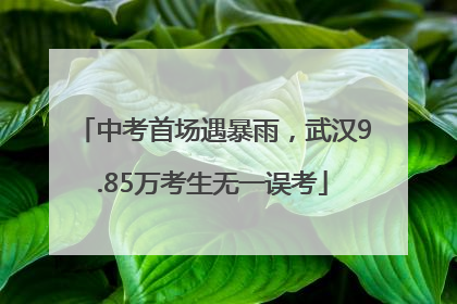 中考首场遇暴雨，武汉9.85万考生无一误考
