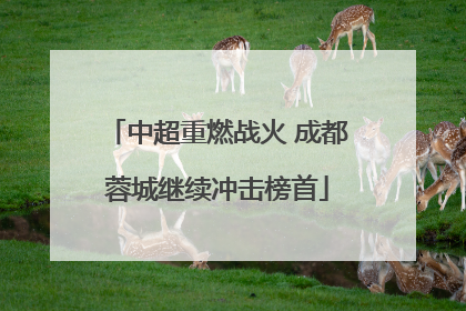 中超重燃战火 成都蓉城继续冲击榜首