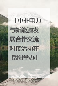 中非电力与新能源发展合作交流对接活动在岳阳举办