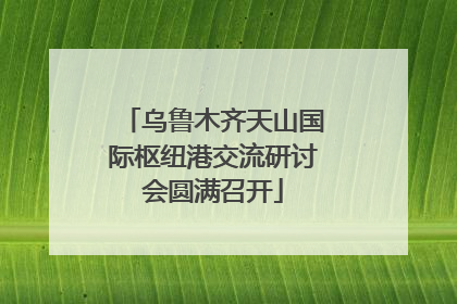 乌鲁木齐天山国际枢纽港交流研讨会圆满召开