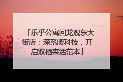 乐乎公寓回龙观东大街店：深系暖科技，开启双栖森活范本