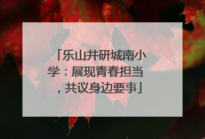 乐山井研城南小学：展现青春担当，共议身边要事