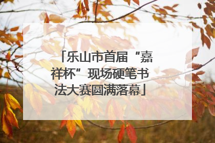 乐山市首届“嘉祥杯”现场硬笔书法大赛圆满落幕