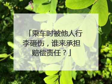乘车时被他人行李砸伤，谁来承担赔偿责任？