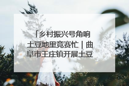 乡村振兴号角响 土豆地里竞赛忙｜曲阜市王庄镇开展土豆收获劳动竞赛