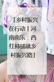 乡村振兴在行动丨河南南乐：西红柿铺就乡村振兴路
