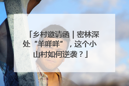乡村邀请函｜密林深处“羊咩咩”，这个小山村如何逆袭？