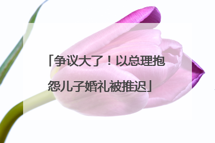 争议大了！以总理抱怨儿子婚礼被推迟