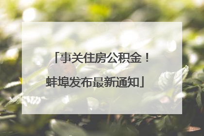 事关住房公积金！蚌埠发布最新通知