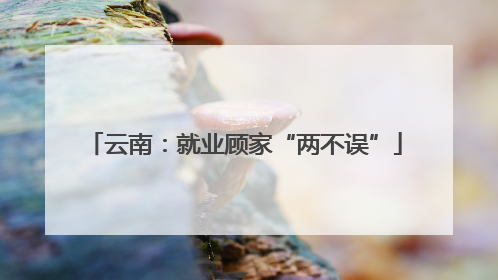 云南：就业顾家“两不误”