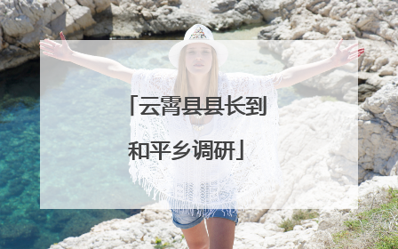 云霄县县长到和平乡调研