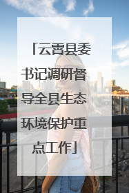 云霄县委书记调研督导全县生态环境保护重点工作