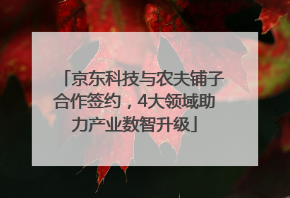 京东科技与农夫铺子合作签约，4大领域助力产业数智升级
