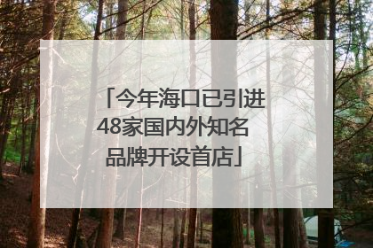 今年海口已引进48家国内外知名品牌开设首店