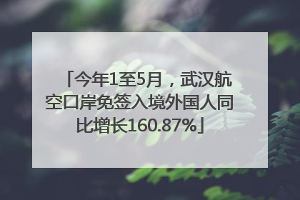 今年1至5月，武汉航空口岸免签入境外国人同比增长160.87%