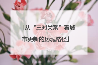 从“三对关系”看城市更新的历城路径