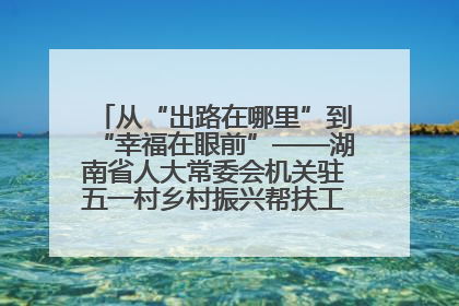 从“出路在哪里”到“幸福在眼前”——湖南省人大常委会机关驻五一村乡村振兴帮扶工作队书写振兴答卷