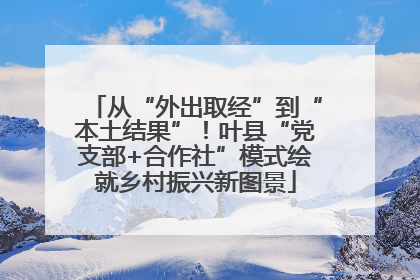 从“外出取经”到“本土结果”！叶县“党支部+合作社”模式绘就乡村振兴新图景