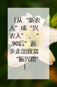 从“新农人”成“兴农人”，“90后”返乡走出致富“振兴路”