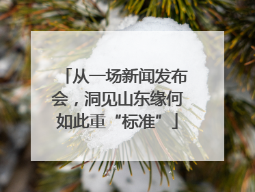 从一场新闻发布会，洞见山东缘何如此重“标准”