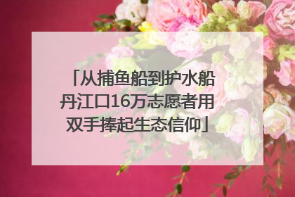 从捕鱼船到护水船 丹江口16万志愿者用双手捧起生态信仰