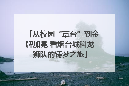 从校园“草台”到金牌加冕 看烟台城科龙狮队的铸梦之旅