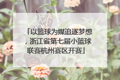 以篮球为媒追逐梦想，浙江省第七届小篮球联赛杭州赛区开赛