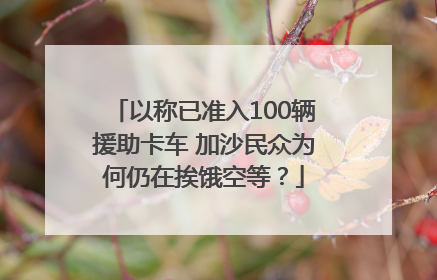 以称已准入100辆援助卡车 加沙民众为何仍在挨饿空等？