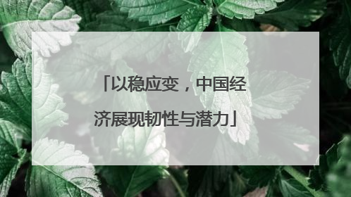 以稳应变，中国经济展现韧性与潜力