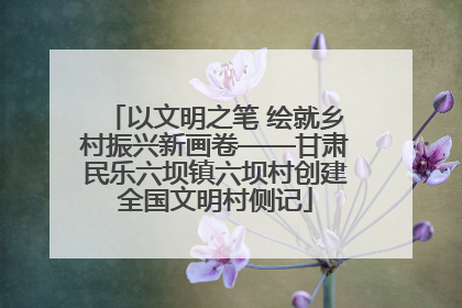 以文明之笔 绘就乡村振兴新画卷——甘肃民乐六坝镇六坝村创建全国文明村侧记