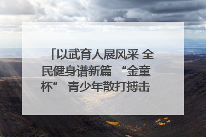 以武育人展风采 全民健身谱新篇 “金童杯” 青少年散打搏击邀请赛圆满落幕