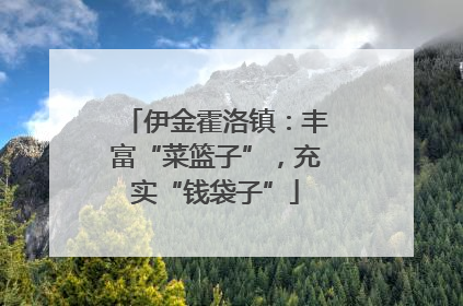伊金霍洛镇：丰富“菜篮子”，充实“钱袋子”