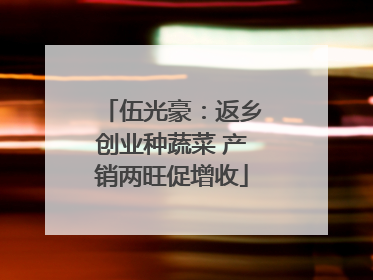 伍光豪：返乡创业种蔬菜 产销两旺促增收