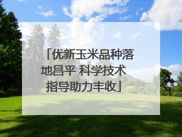 优新玉米品种落地昌平 科学技术指导助力丰收
