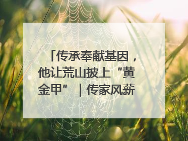 传承奉献基因，他让荒山披上“黄金甲”｜传家风薪火 颂家国情深