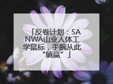 反卷计划：SANWA山业人体工学鼠标，手腕从此“躺赢”
